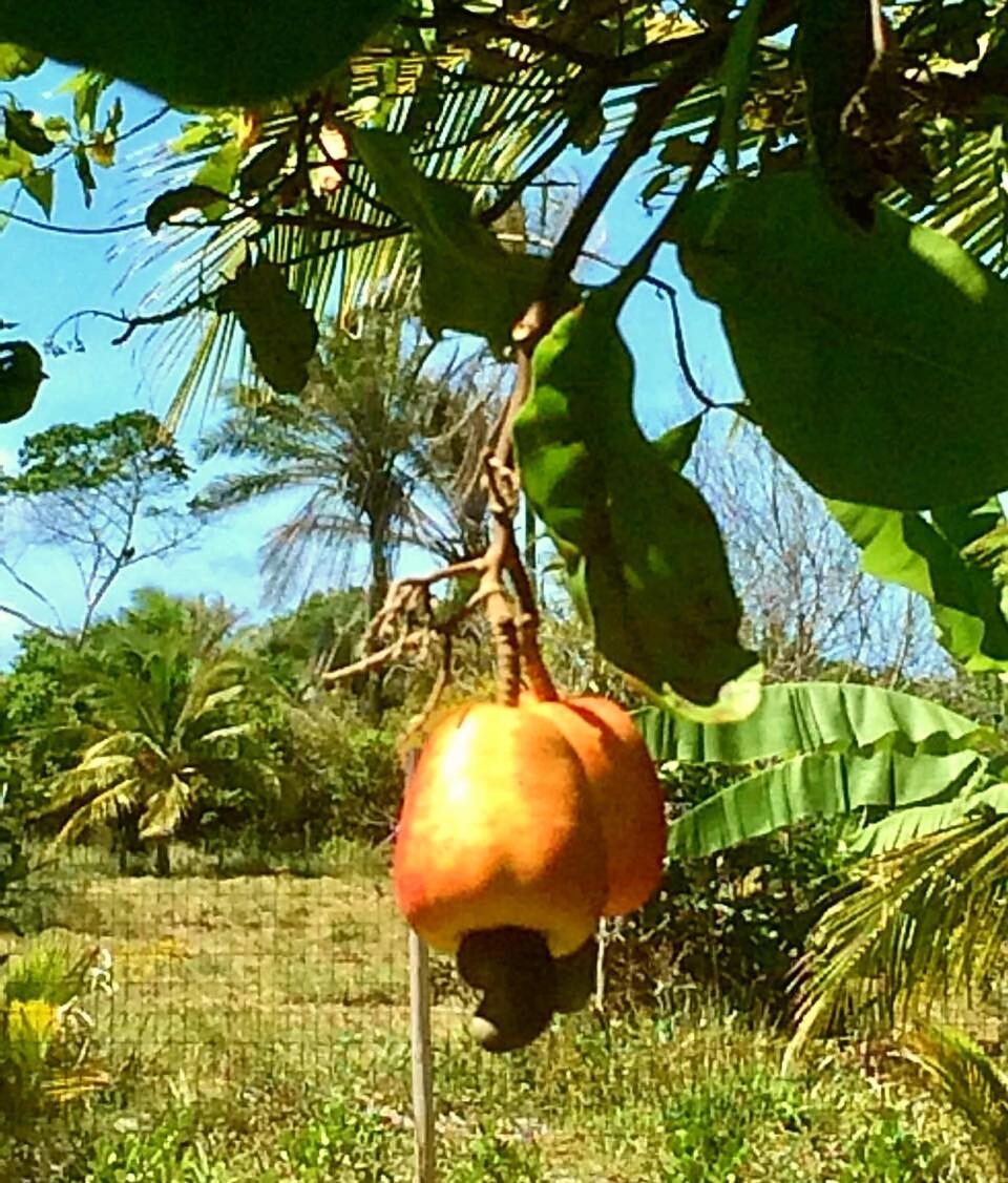 Casa Ohana Barra Grande  Bagian luar foto